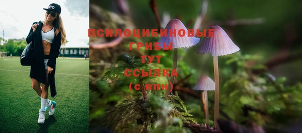прущий лед Аркадак