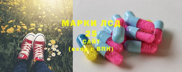прущий лед Аркадак