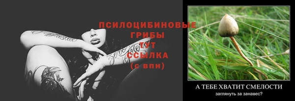 винт Армянск