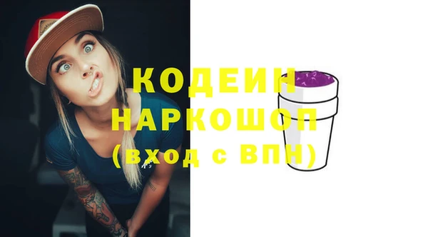 гашик Арсеньев
