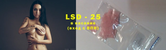 скорость Алзамай