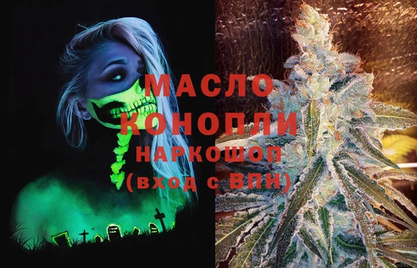 гашик Арсеньев