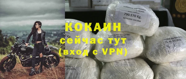 гашик Арсеньев